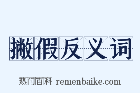 撇假反义词是什么意思的图片